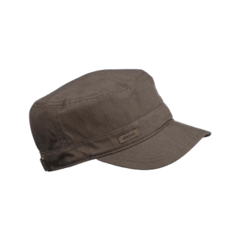 Vivamus maximus purus